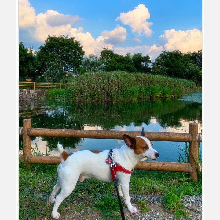 D7ecaeda d642 42b4 92e7 c8a2e8cf8598 1562931757574