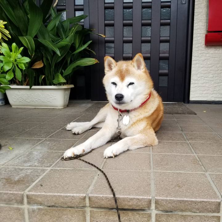 D7ecbf32 b614 429f aa24 47435931e19f 1726710072987