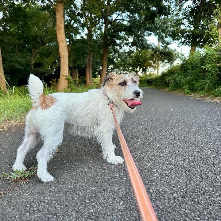 D7ecc988 27b7 4dd7 ab82 d3a9843cfe45 1690973044919