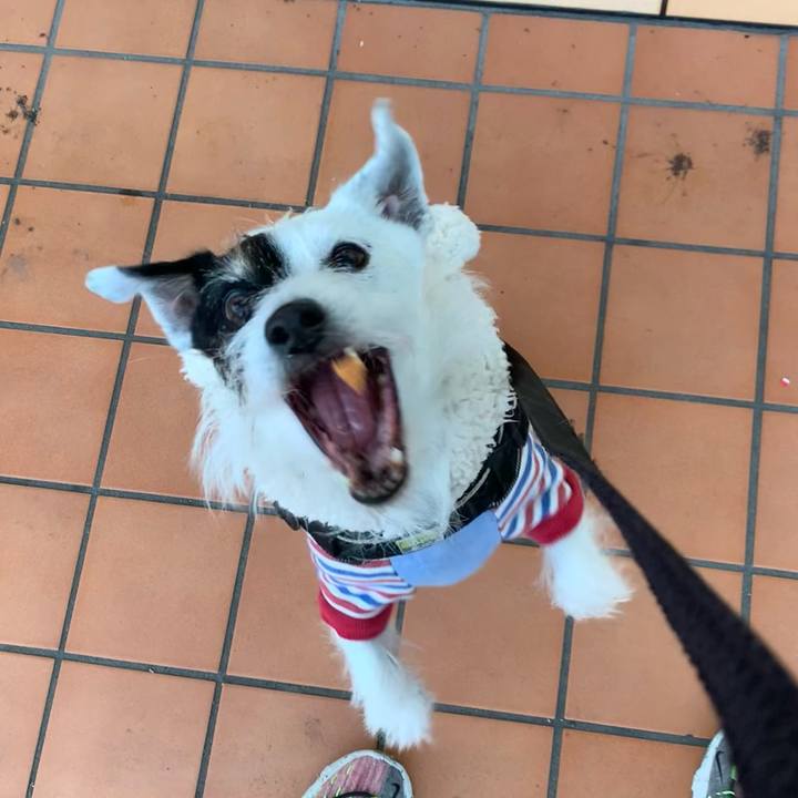 D7ecdcb3 6fca 4791 9895 521c1916f311 1734938745817