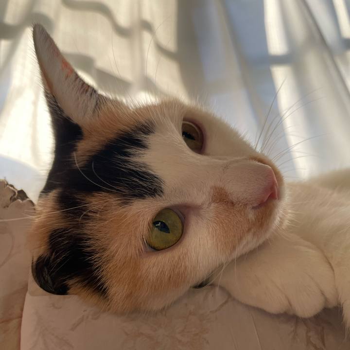 D7ed01f3 58db 4975 bbb7 469453f1ca5e 1690146104343