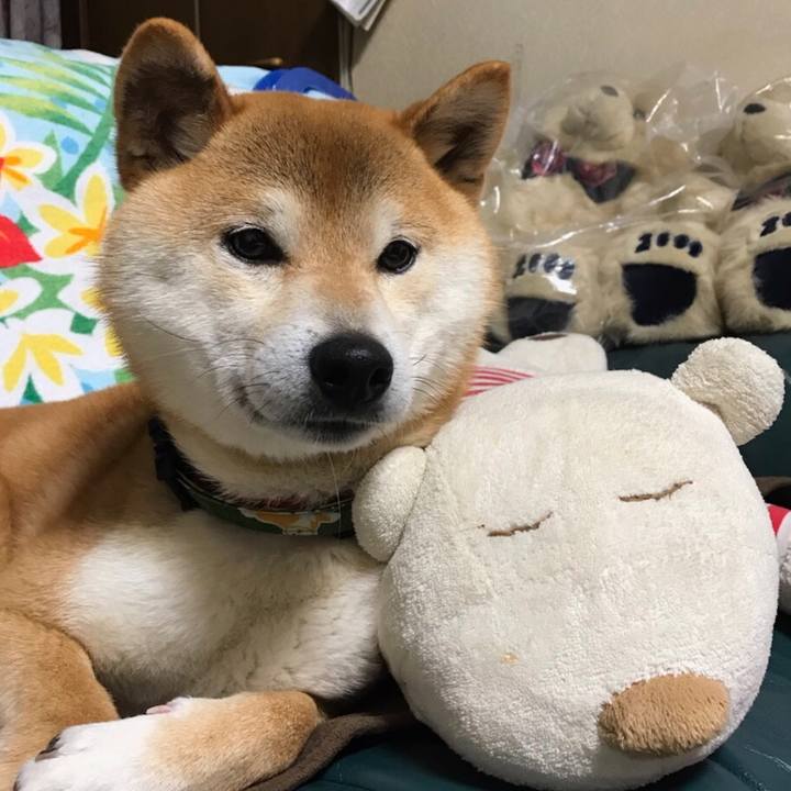 D7ed9695 8a0b 4f17 91f5 3758de9b2e53 1524481164801