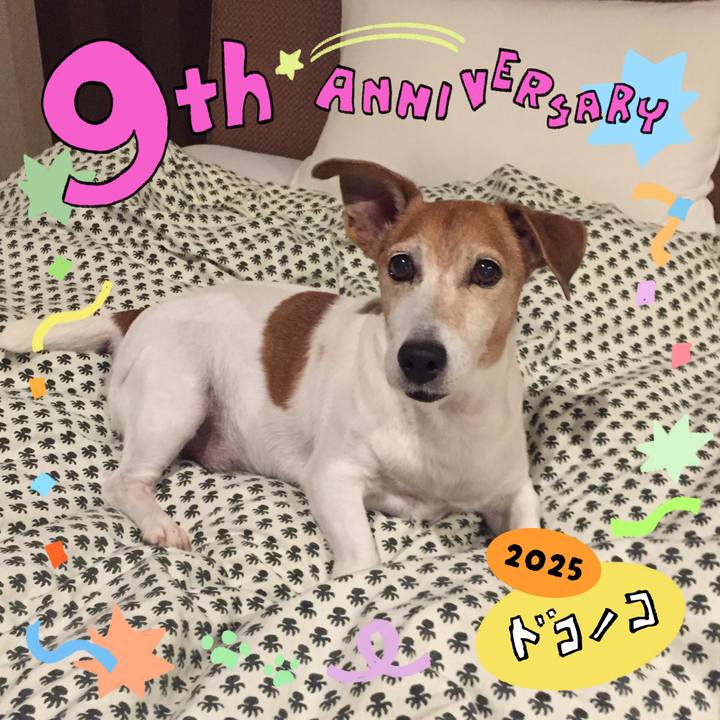 D7edbc4e 24e1 4a83 a0dd 0ea52da1a3bb 1749127814354