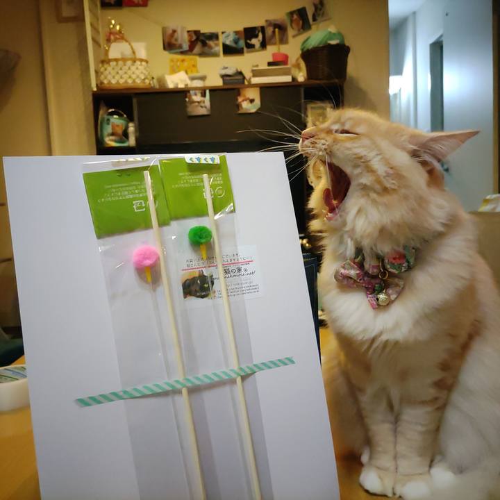 D7edd3ab 2d26 44c5 8cc6 c95039b8294a 1667310180964