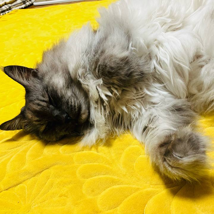 D7ee08fe c1c8 4b77 beab 556714357a50 1738370185595