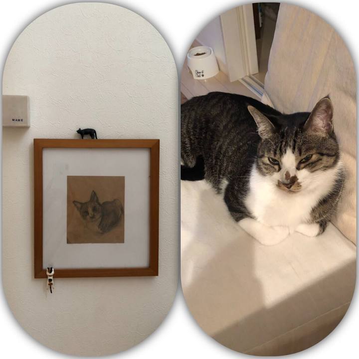 D7ee2cb1 1f75 46b2 b078 d66fc7ebad2c 1539046005716