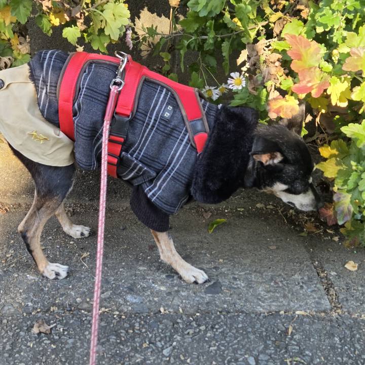 D7ee4cc7 7aff 4934 962d 84166a9857e9 1767057545132