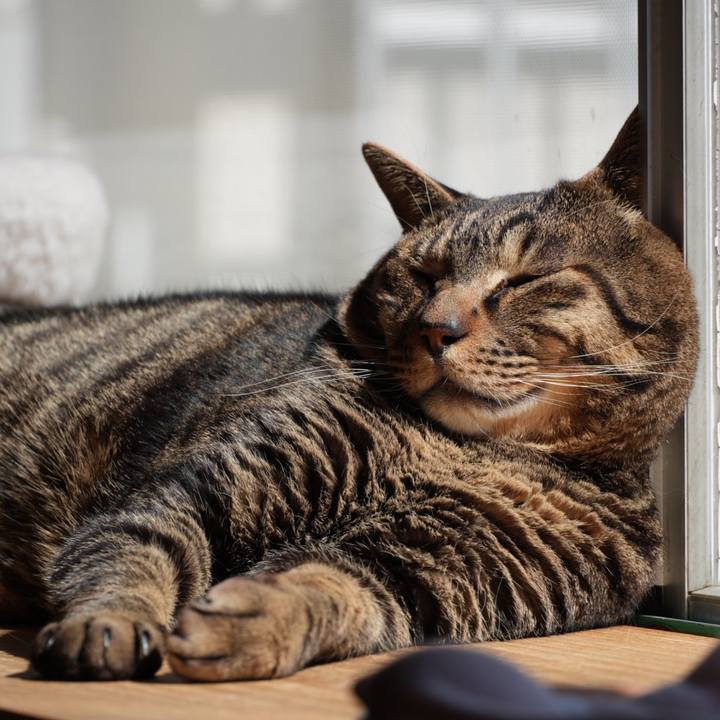 D7ee55da 07b7 4a4b 9cab df52cda2ac30 1741483530200