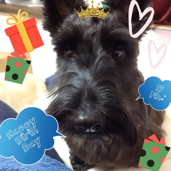 D7ee6a5a 1731 4ea5 ac8f 418b89febb17 1510756309041