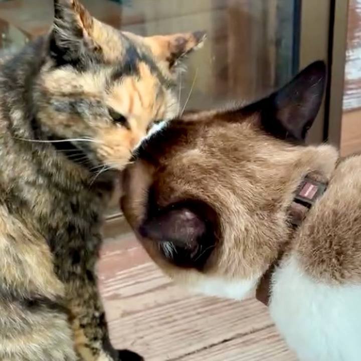 D7ee8ae0 f04d 46dc 8403 c00931431d85 1752633920314