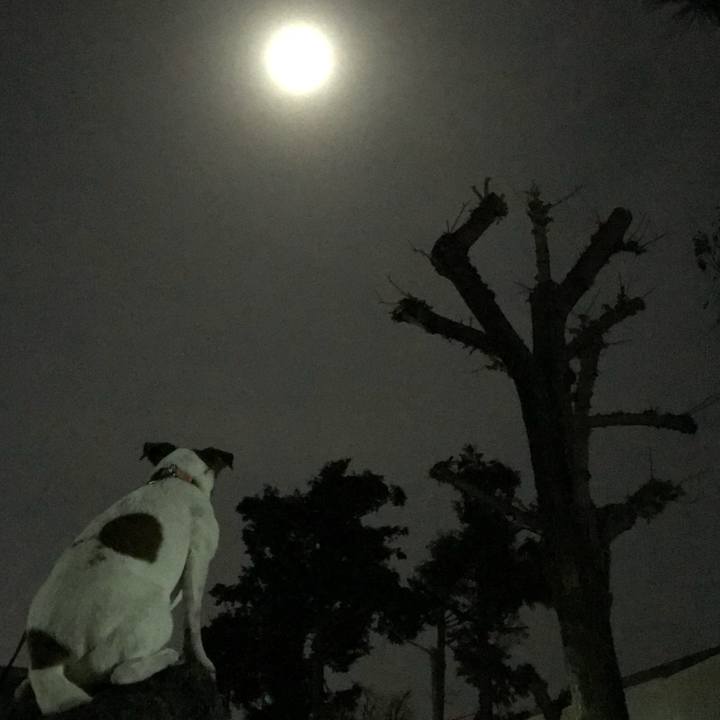 D7ee8b64 1b43 4b8f b448 456b9e96888c 1517401027778