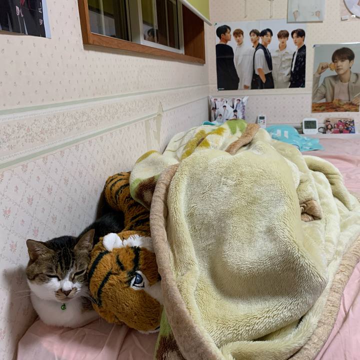 D7ee9ba0 81ba 44ce a28f 783bfd425240 1604503966568