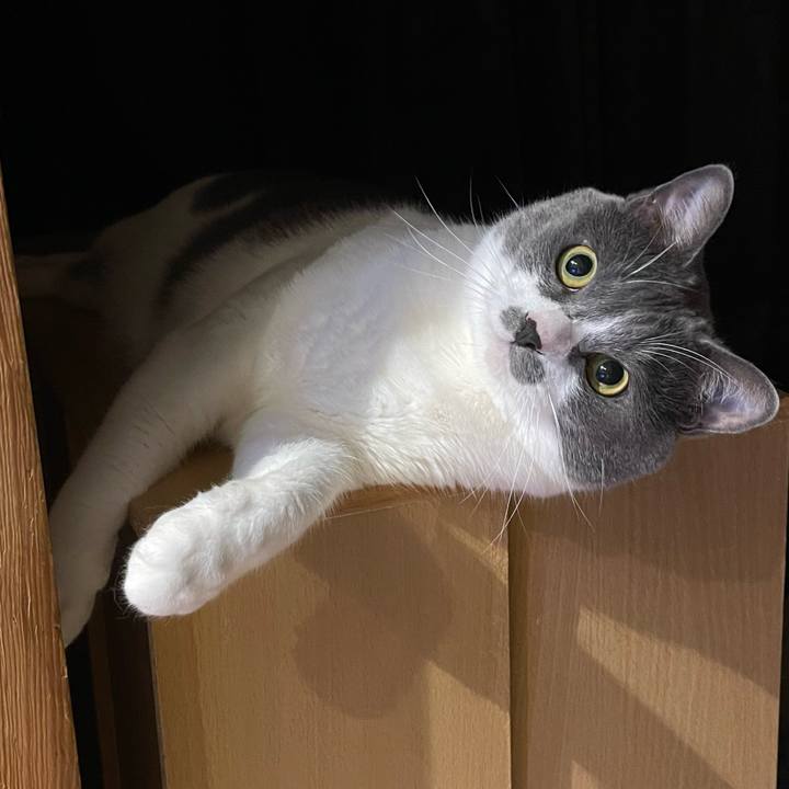 D7eedcb0 103b 4dd9 8b59 8555b3a226fc 1658408983485