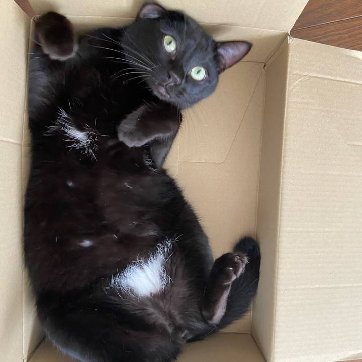 D7eeff8a 16a8 48ae 9cae 16589b4df561 1655210999694