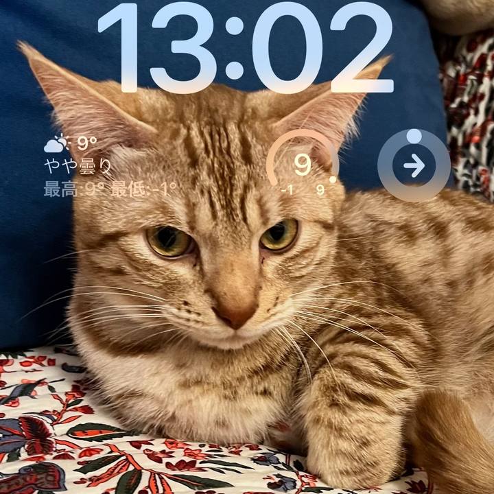 D7ef0ac6 904d 499e 92cb ec1b41659292 1672372997160