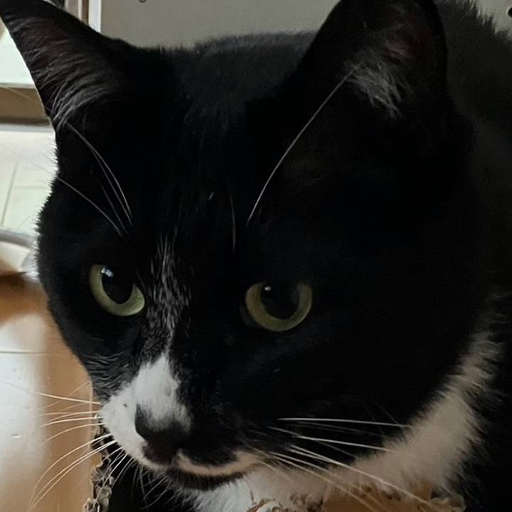 D7ef44d3 dca4 4e48 b4ac 6899e40bf9cd 1752895900376