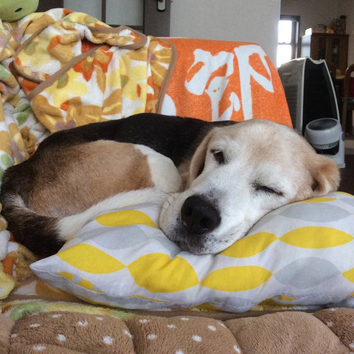 D7ef4e65 9b88 44b5 8e82 51d7172c88a4 1588603765109