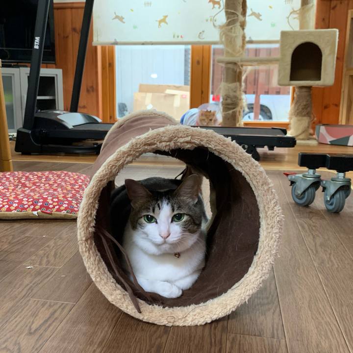 D7efa3c3 9caf 423d 9b92 d01d7433b4b9 1629323442989