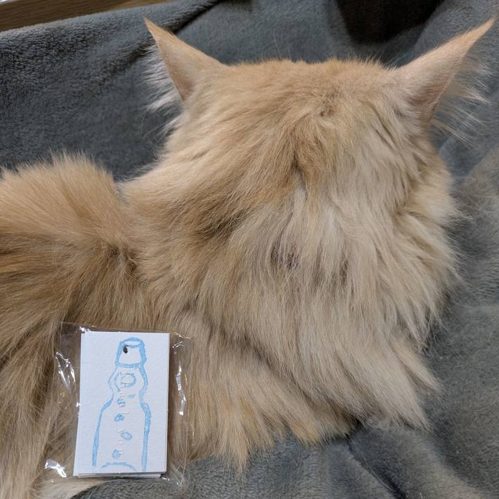 D7efb122 1c95 4251 90e0 36067012257a 1771507034923