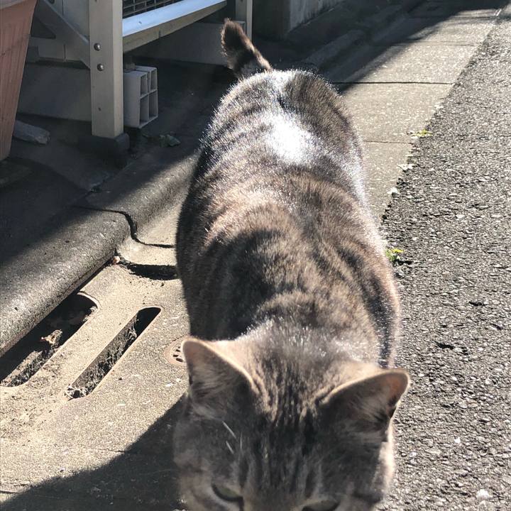 D7efb4b2 8c3a 40dd 85f8 317163696f19 1610465832451