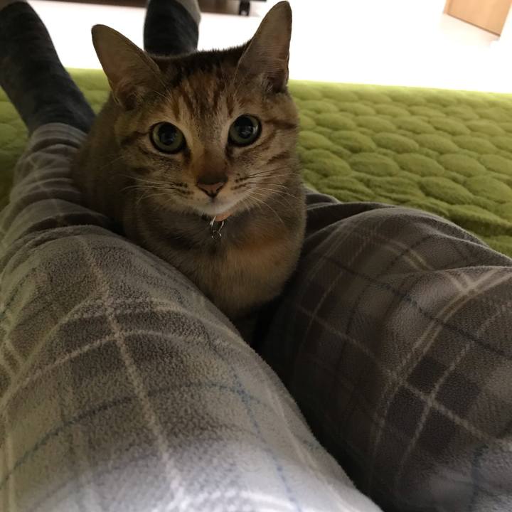 D7efbd9a 57a7 4abf 9bb0 1a300e4b7c18 1554172440900