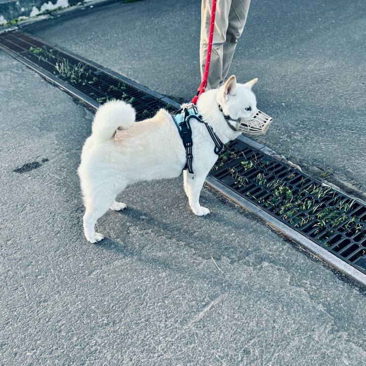 D7efdc37 256c 4633 8769 cf5f102d8bff 1695519813468