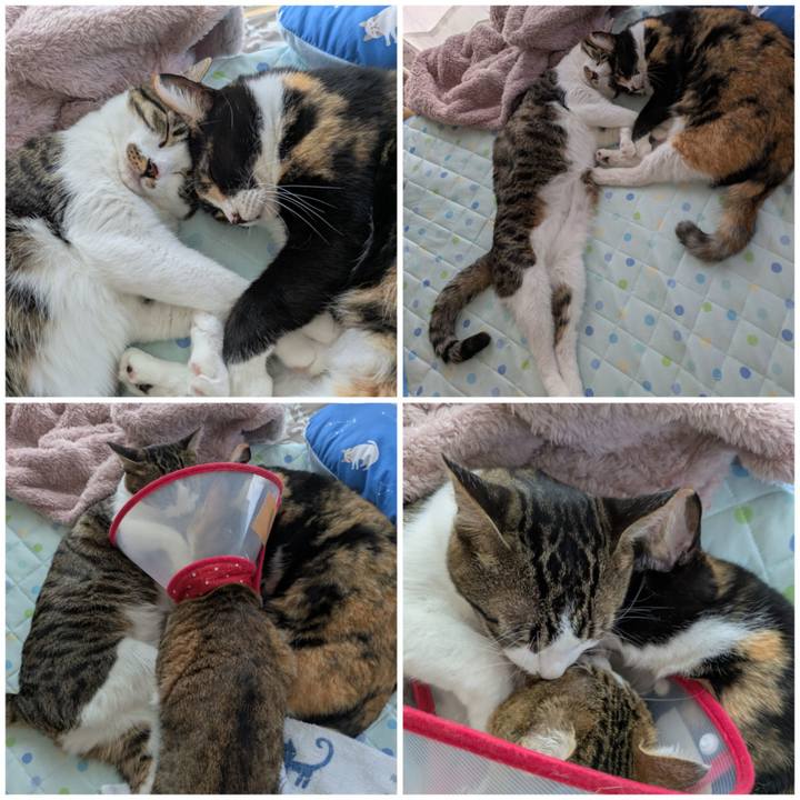 D7efef2e 60a8 48df 8357 bfe4c84635e9 1755339955214