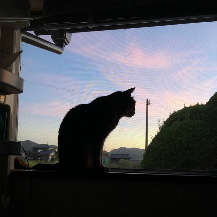 D7f00040 1551 451a b46a 74bc7ce47a53 1659384578605