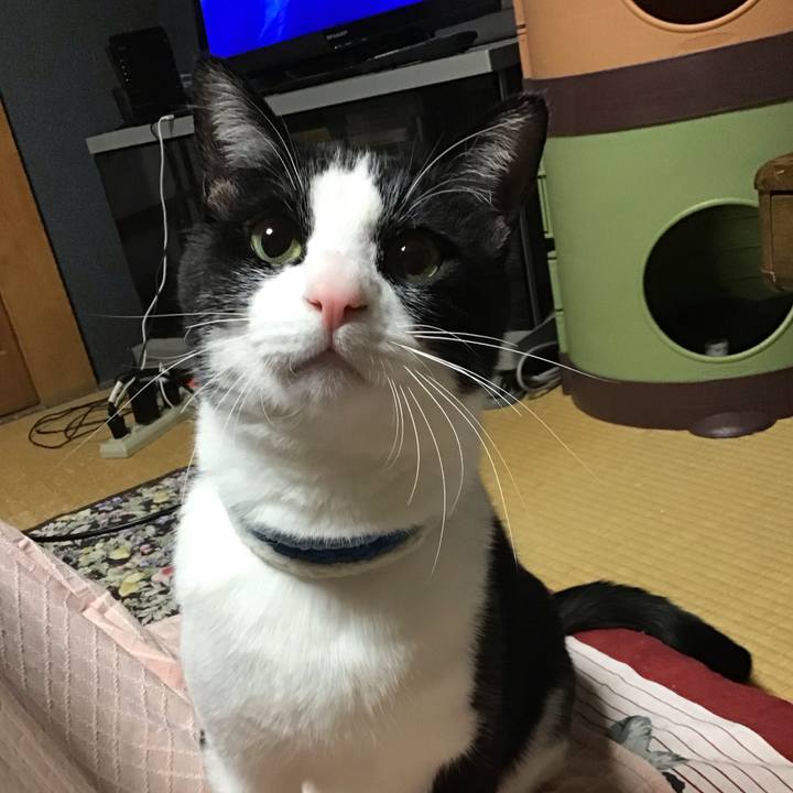 D7f0554c 97d7 40b6 987d 585a9103dbe4 1681131228938