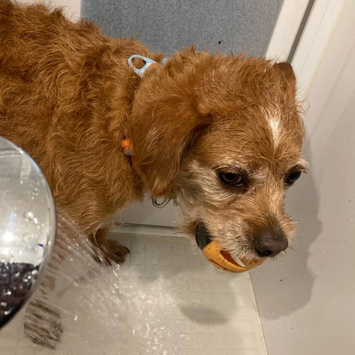 D7f069b2 cc09 43cd b459 85ac69f3309b 1660394760408