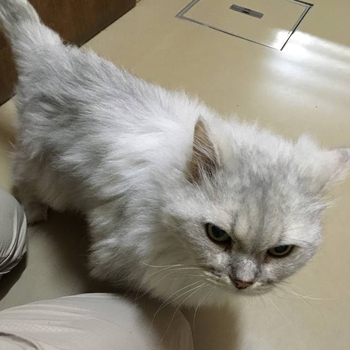 D7f07398 9fb5 4387 aef2 e92bf26fdd88 1510918181132