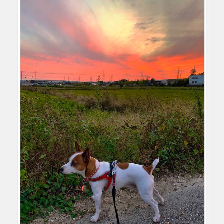 D7f097e8 5116 47fd 8acf 982d05921765 1572291660952