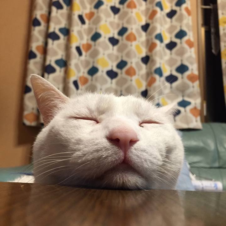 D7f10793 96b8 4bff 8fa8 ce10c60a8c29 1582196441706