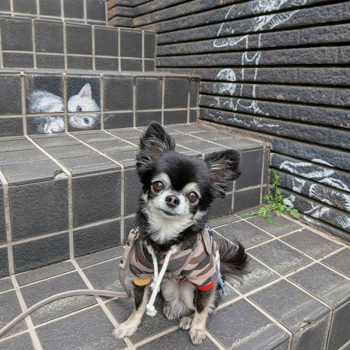 D7f11a85 8157 4b4b ac53 13495677b120 1777002940860