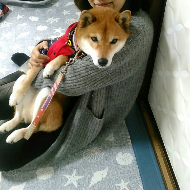 D7f1318d 9bef 4aa2 bd14 27ce34bf6ec2 1552729908904