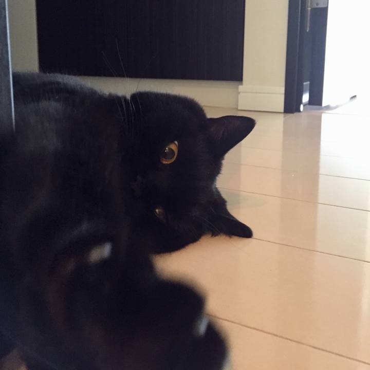 D7f196ca b000 4d6b 95aa 6483d312ed72 1596250117420