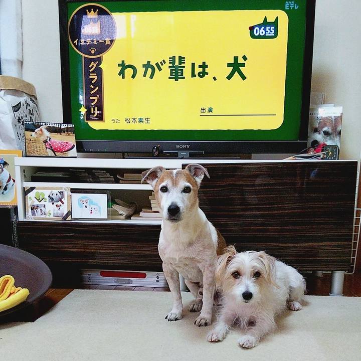 D7f199cd a384 4e62 a7bf d44f69079cda 1584051384630