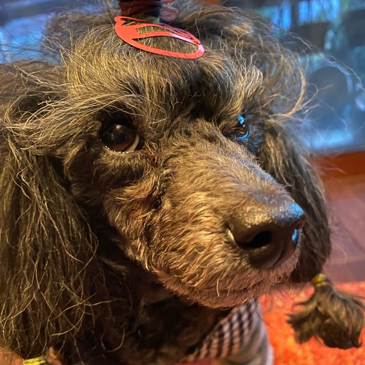 D7f1ac30 20ba 49c6 880b 84e8bd610f21 1706606424506