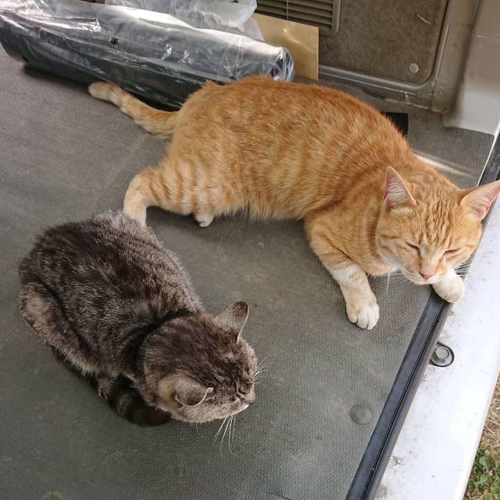 D7f1cc89 1a40 45eb aec8 576a06a2500b 1591433785550