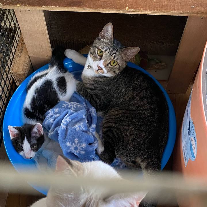 D7f1cf3b e1a8 4843 97a3 195b9ed5db8b 1657149621164