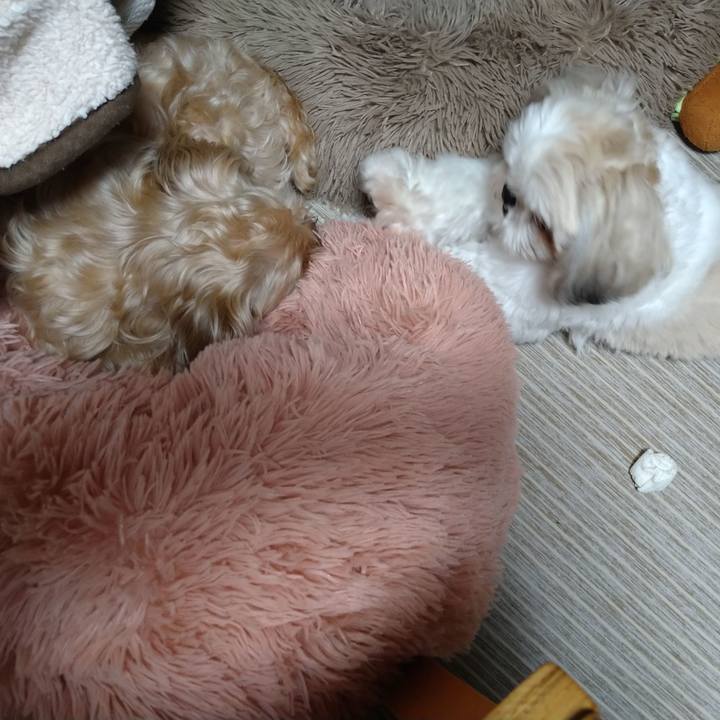 D7f211be f0f2 410c 8a05 35727d31defa 1617458988296