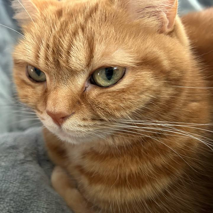 D7f21c05 6a73 4bdb 9bcf 2eb3db5ec33a 1739082869054