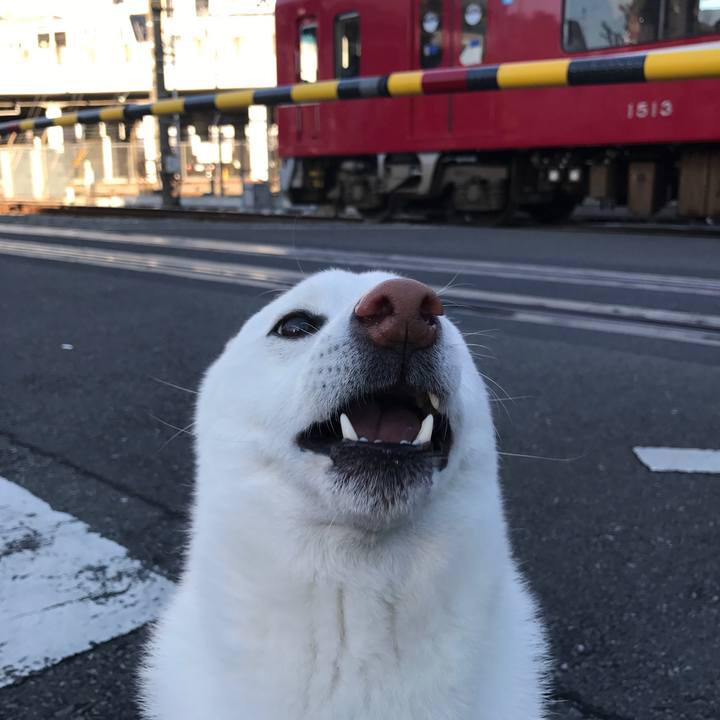 D7f23115 20ad 4bdf 867a 37ccccc56611 1515627526506