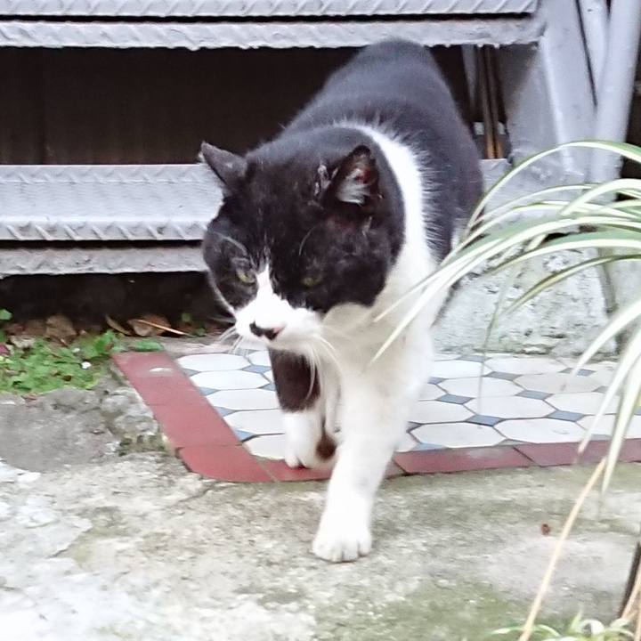 D7f273e1 93b0 4b55 994d 6a5d3db4e9f0 1680781998353