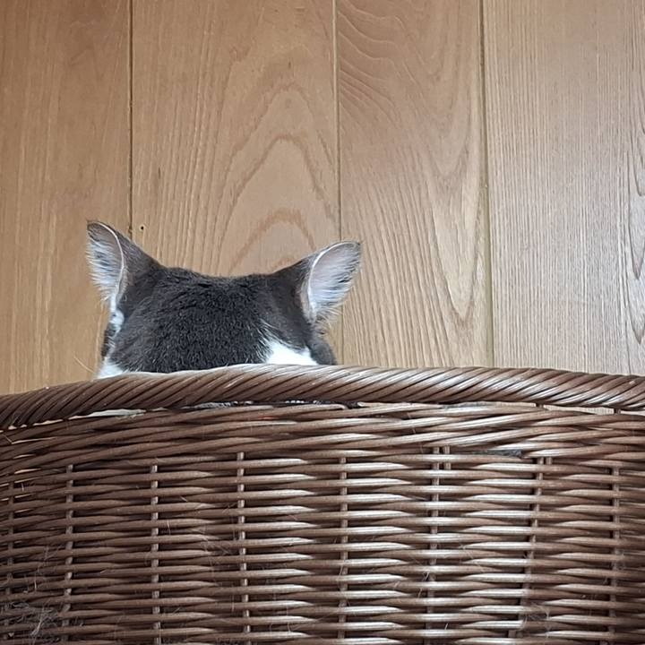 D7f2db66 73f3 4a50 89a8 447b178ac784 1737603274279