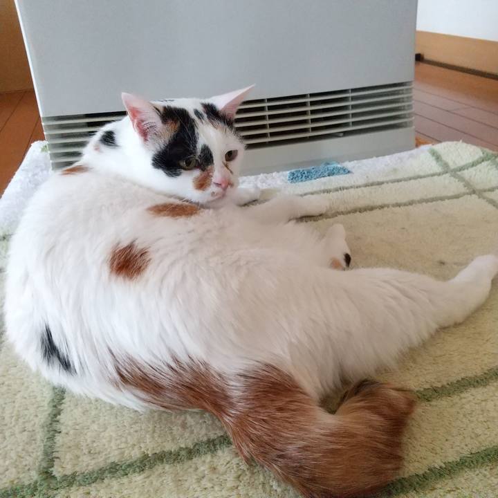 D7f30a40 e135 4e32 a941 bcf17954b438 1617402991350