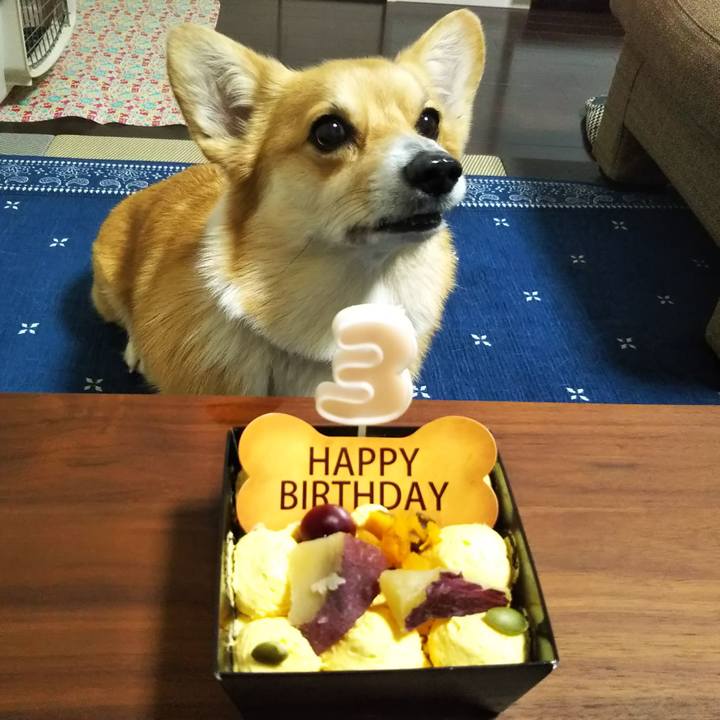 D7f33fa0 95e3 43cc 88a3 d20bfcf615b8 1526982334478