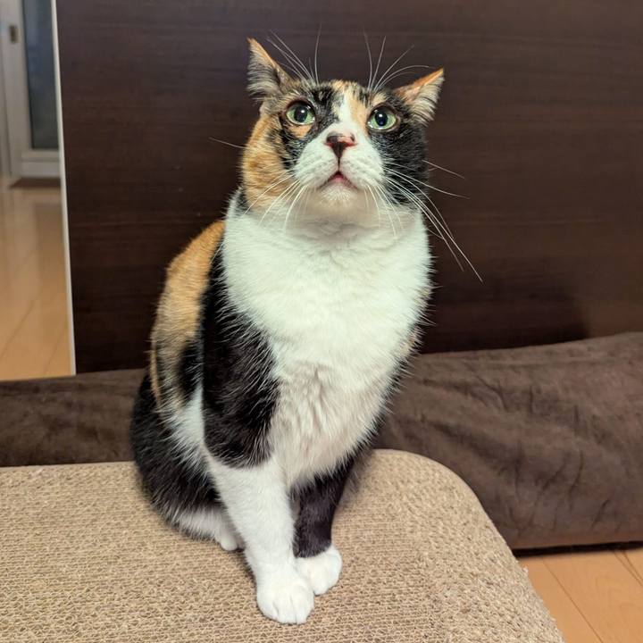 D7f36e76 0311 4395 ba44 428ae964271f 1741517213617