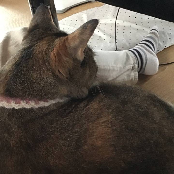 D7f37134 cf9b 4d17 9d3d 55c4b59ea8bc 1657788543884