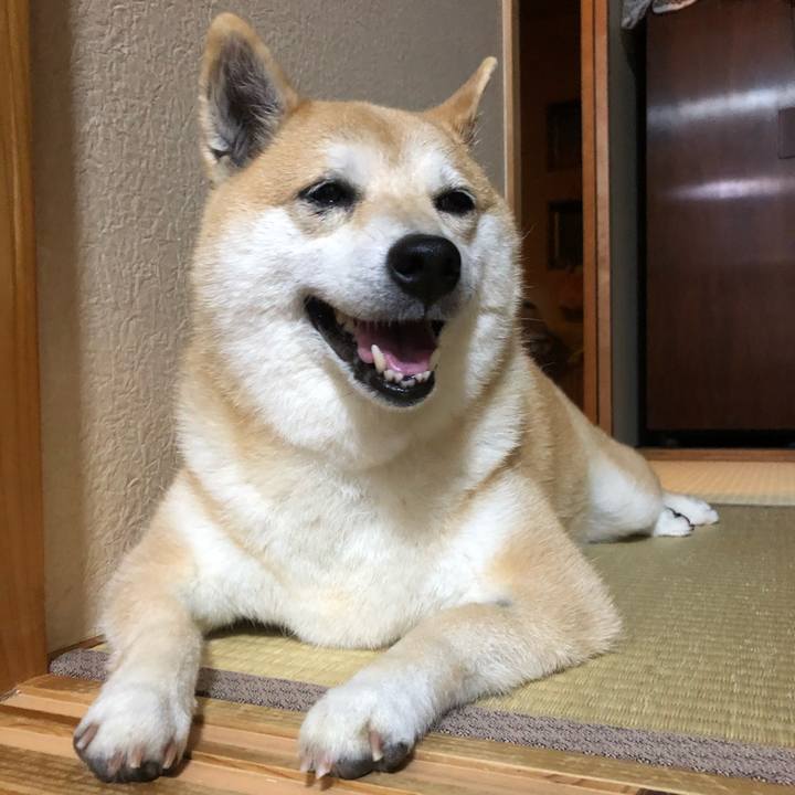 D7f3afa5 550c 4367 b73d eda257a1d697 1558788116160